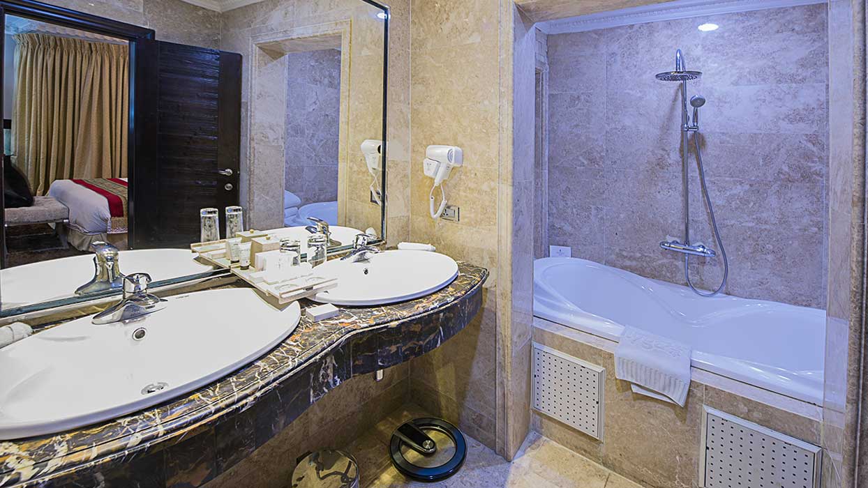 Executive Suite: Toilet and Bathroom